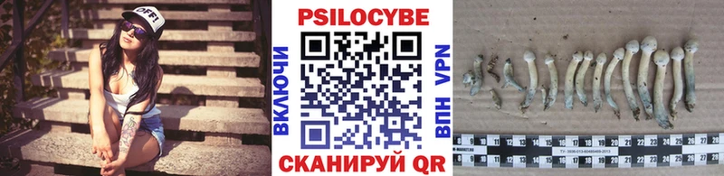 Галлюциногенные грибы Psilocybine cubensis  купить  цена  Электрогорск 