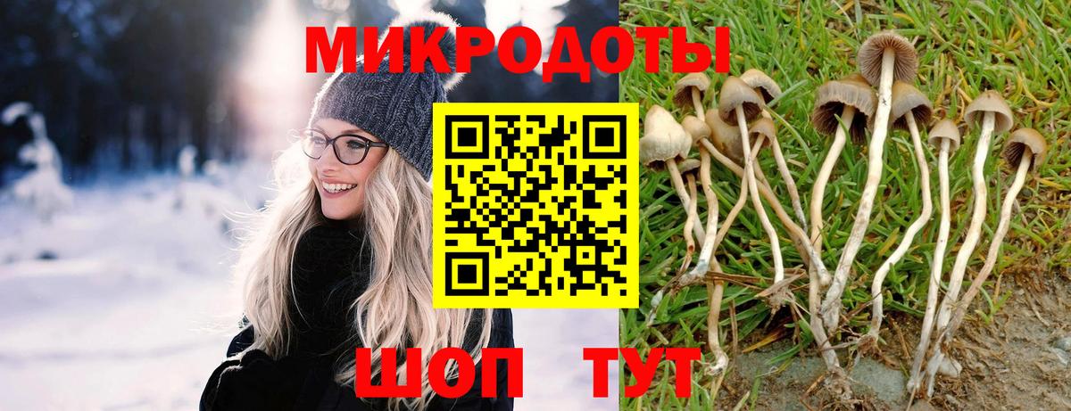Псилоцибиновые грибы ЛСД  Вход с VPN  Псилоцибиновые грибы Magic Shrooms  Электрогорск 