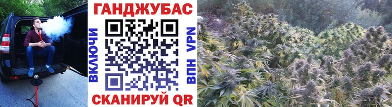 Каннабис планчик  как найти закладки  Электрогорск 